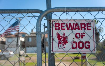What is The Owners Liability for Dog Bites